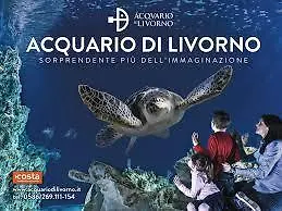 Apartment The Ferry Livorno